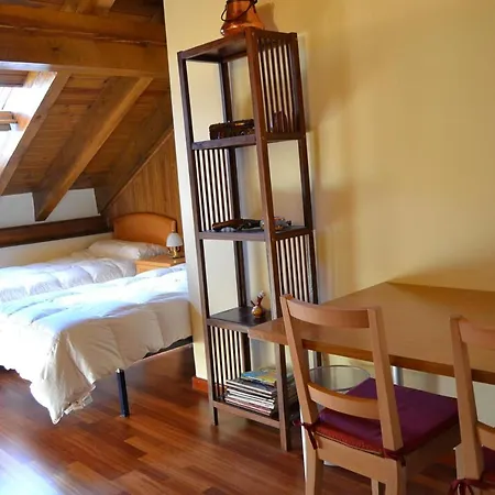 Amplio Duplex En Ideal Familias Apartment Puigcerda